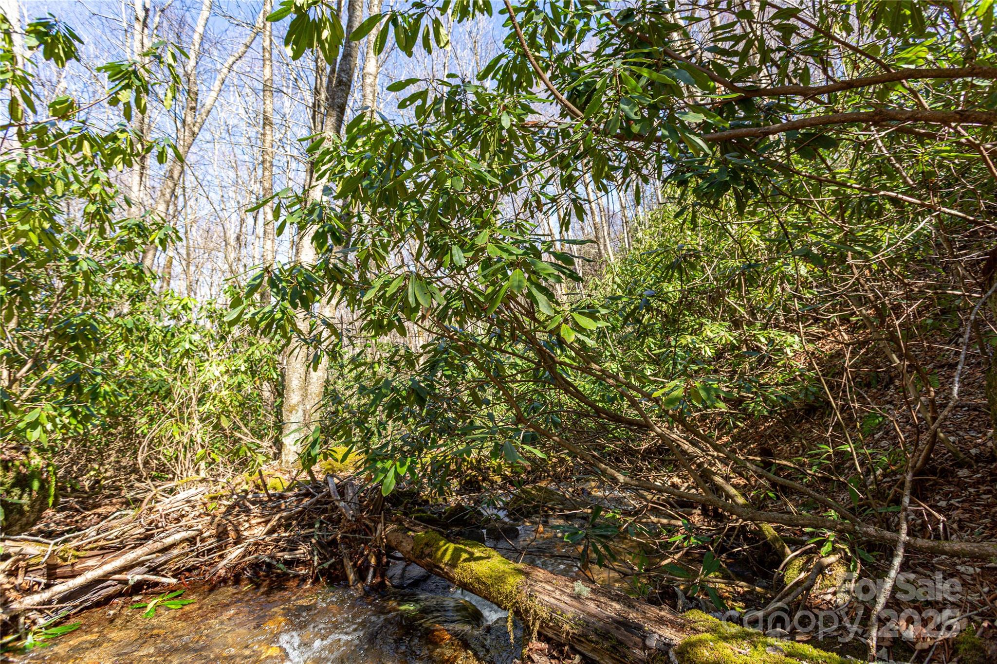 Lot 50 Bearwallow Ridge Trail, Unit 50 Maggie Valley, NC 28751 - Photo 23 of 39