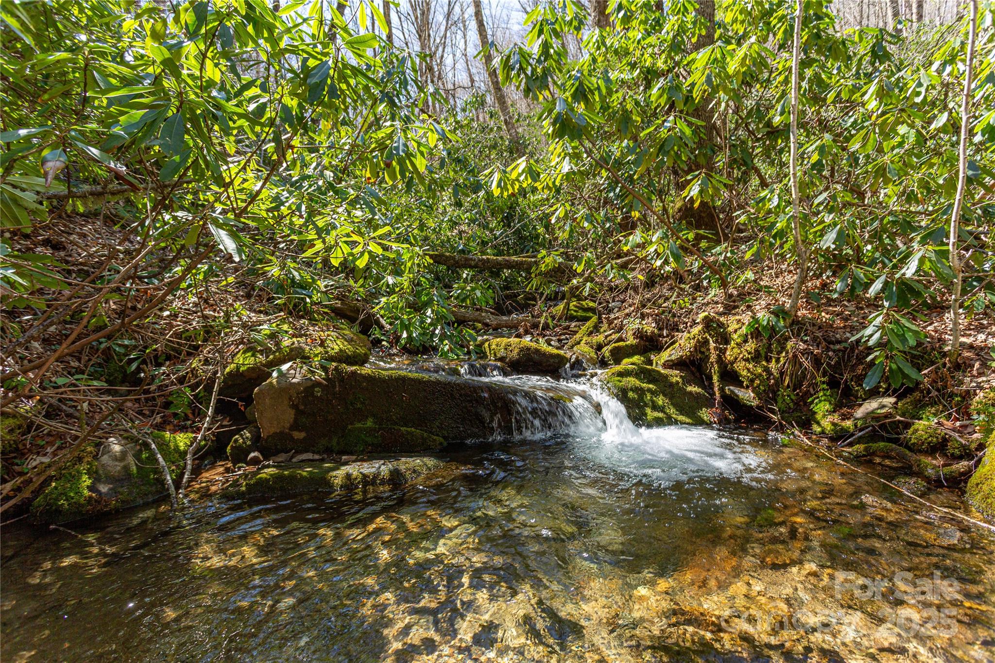 Lot 50 Bearwallow Ridge Trail, Unit 50 Maggie Valley, NC 28751 - Photo 24 of 39