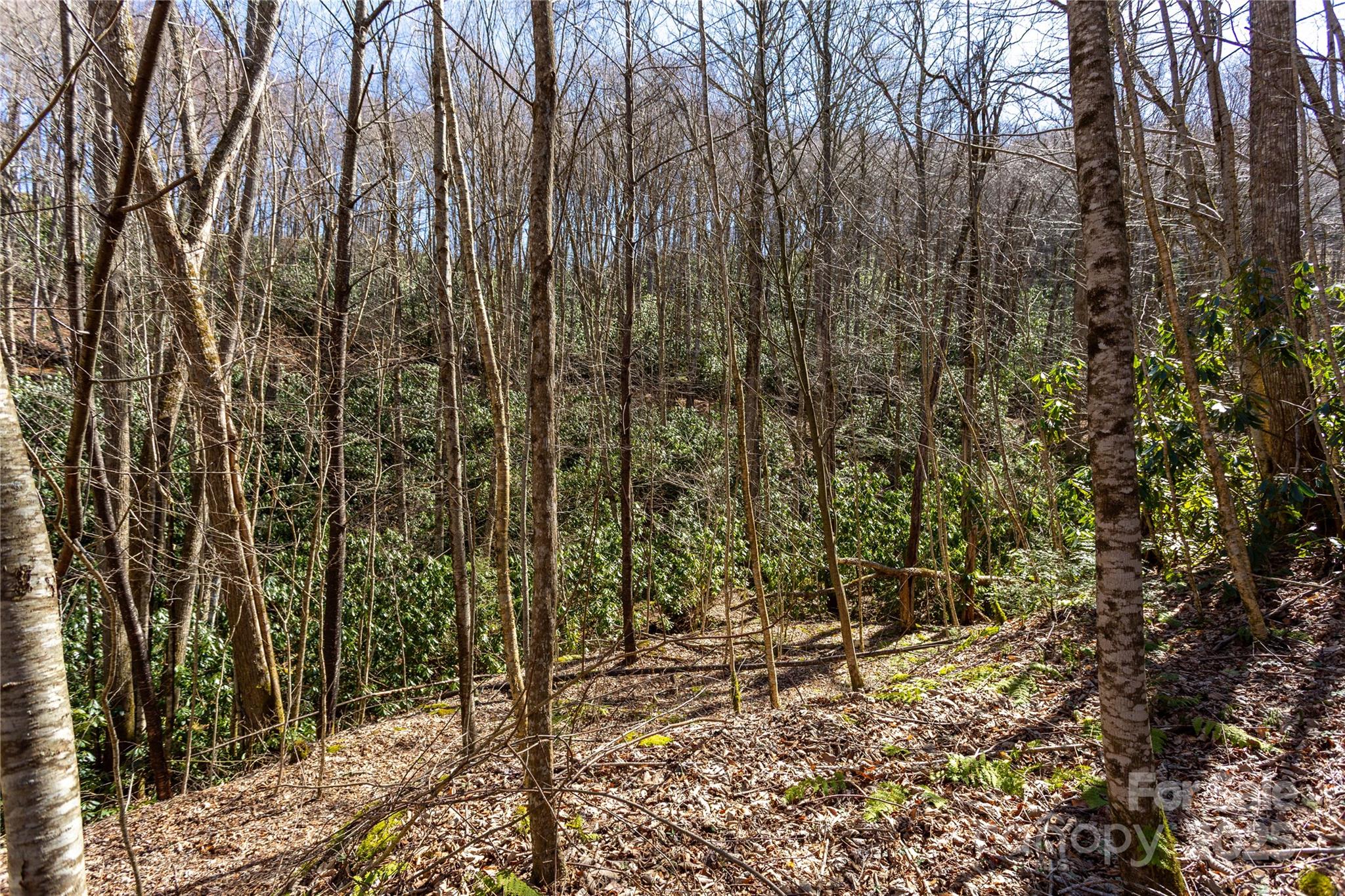Lot 50 Bearwallow Ridge Trail, Unit 50 Maggie Valley, NC 28751 - Photo 26 of 39