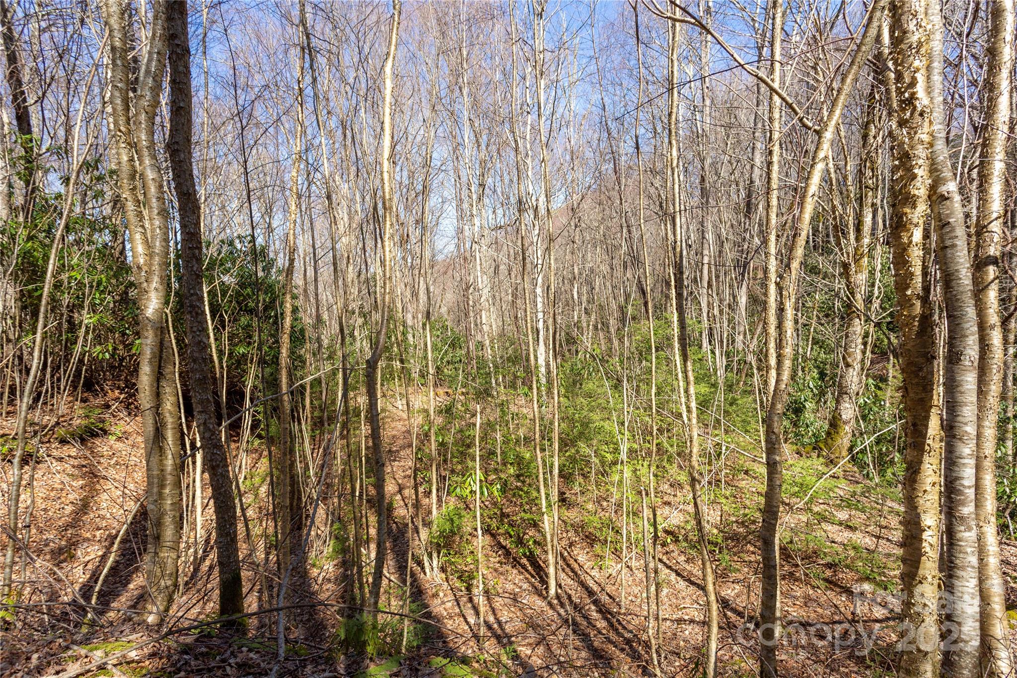 Lot 50 Bearwallow Ridge Trail, Unit 50 Maggie Valley, NC 28751 - Photo 27 of 39