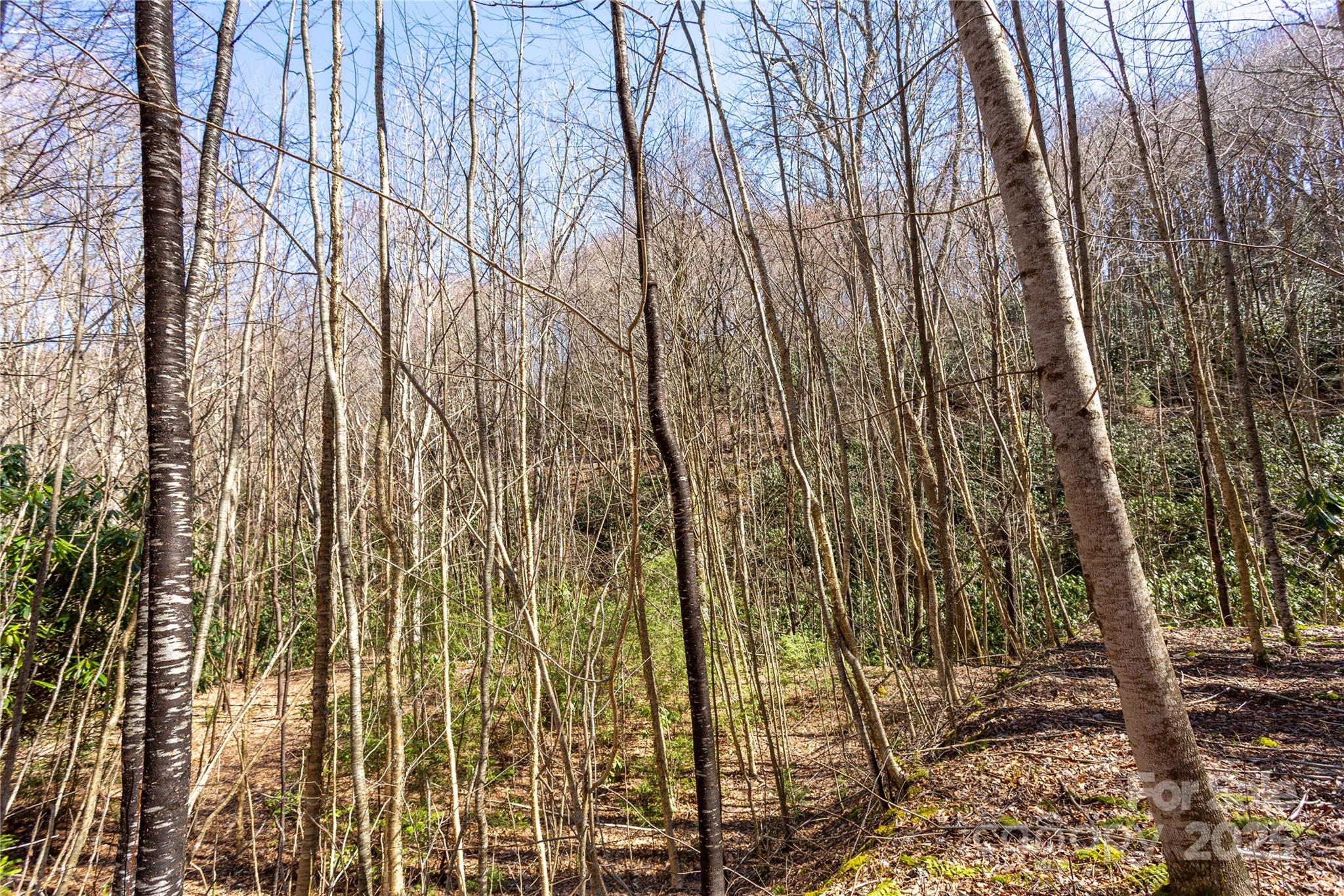 Lot 50 Bearwallow Ridge Trail, Unit 50 Maggie Valley, NC 28751 - Photo 28 of 39