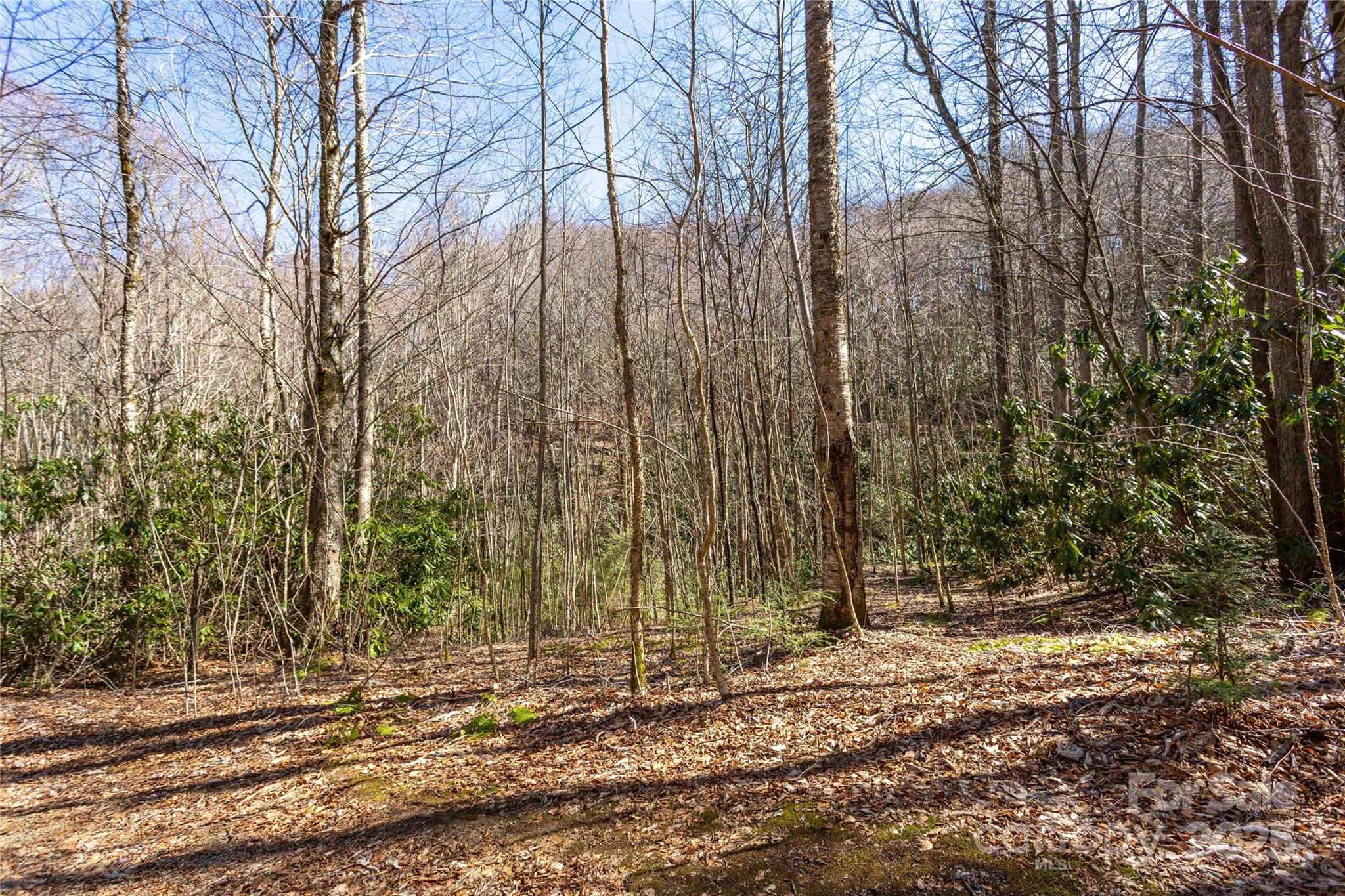 Lot 50 Bearwallow Ridge Trail, Unit 50 Maggie Valley, NC 28751 - Photo 29 of 39