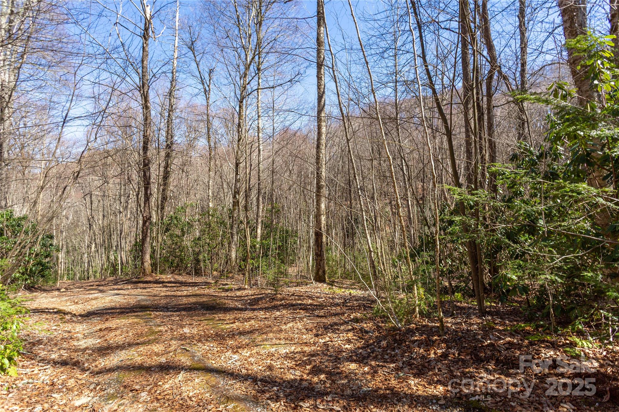 Lot 50 Bearwallow Ridge Trail, Unit 50 Maggie Valley, NC 28751 - Photo 30 of 39