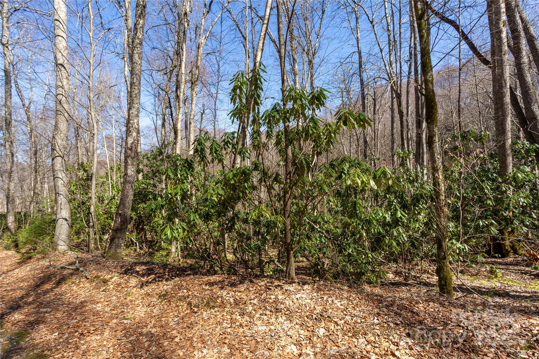 Lot 50 Bearwallow Ridge Trail, Unit 50 Maggie Valley, NC 28751 - Photo 31 of 39