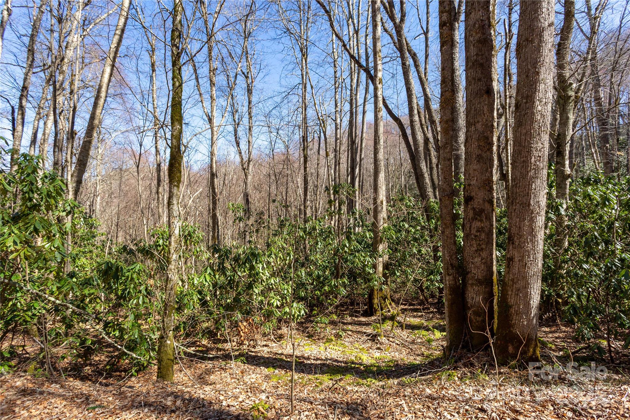 Lot 50 Bearwallow Ridge Trail, Unit 50 Maggie Valley, NC 28751 - Photo 32 of 39