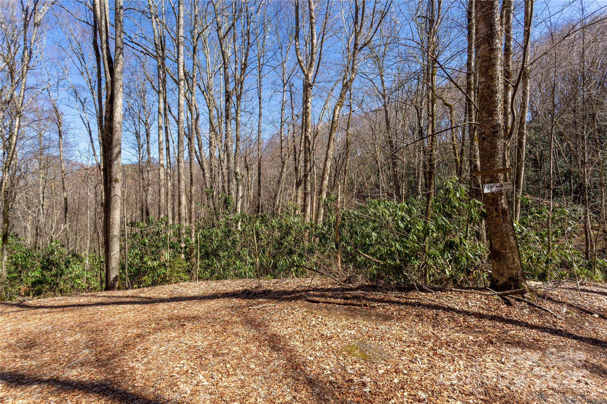 Lot 50 Bearwallow Ridge Trail, Unit 50 Maggie Valley, NC 28751 - Photo 33 of 39