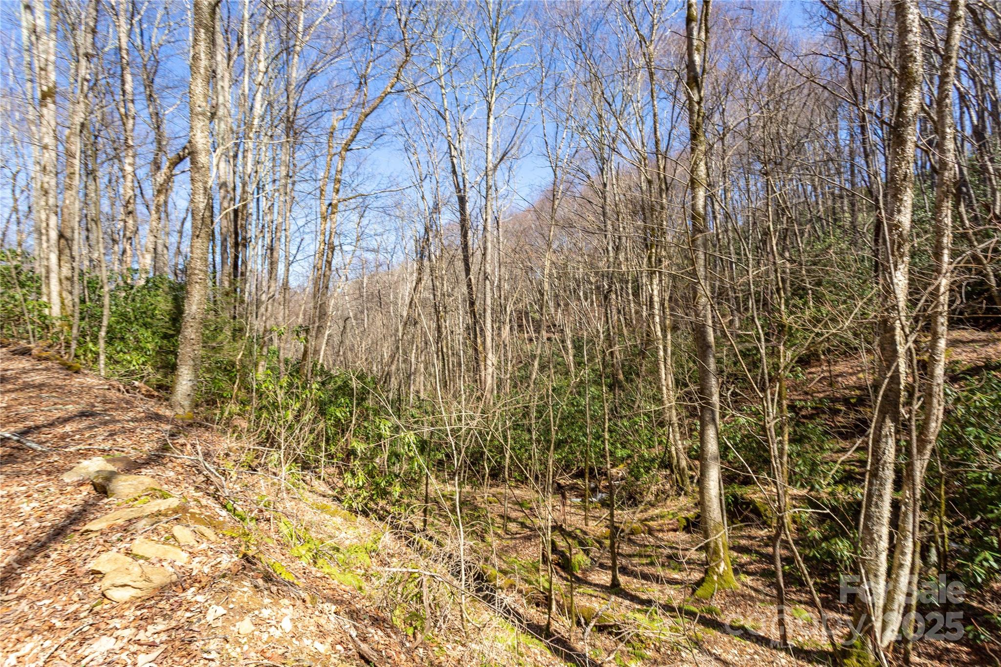 Lot 50 Bearwallow Ridge Trail, Unit 50 Maggie Valley, NC 28751 - Photo 34 of 39