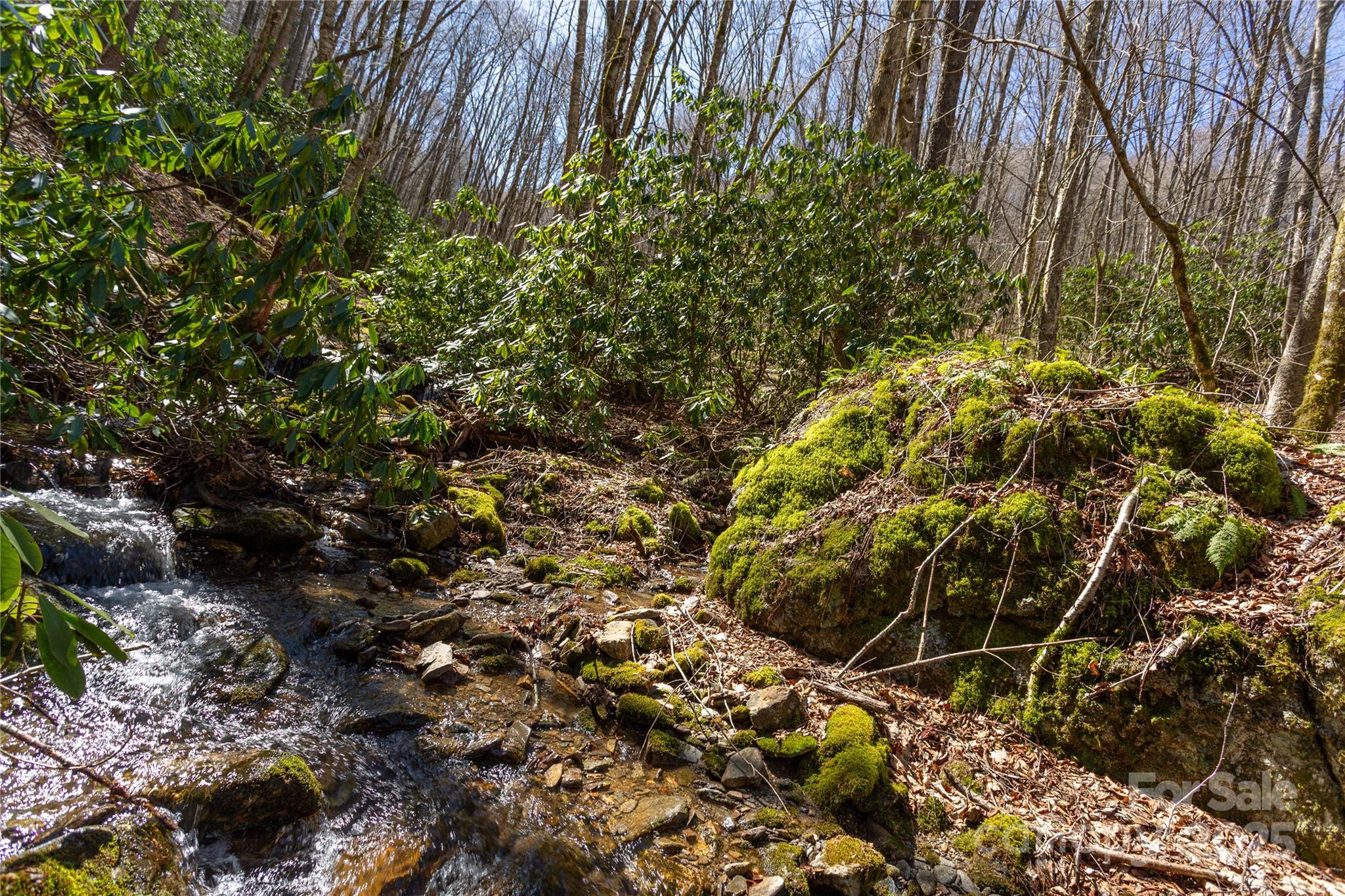 Lot 50 Bearwallow Ridge Trail, Unit 50 Maggie Valley, NC 28751 - Photo 37 of 39