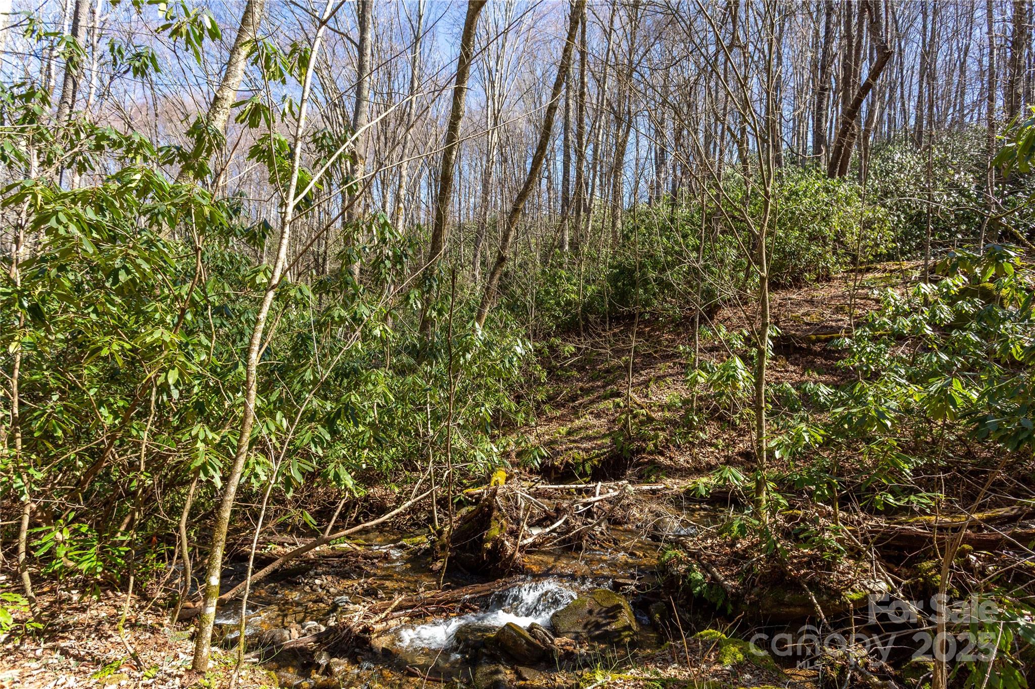 Lot 50 Bearwallow Ridge Trail, Unit 50 Maggie Valley, NC 28751 - Photo 38 of 39