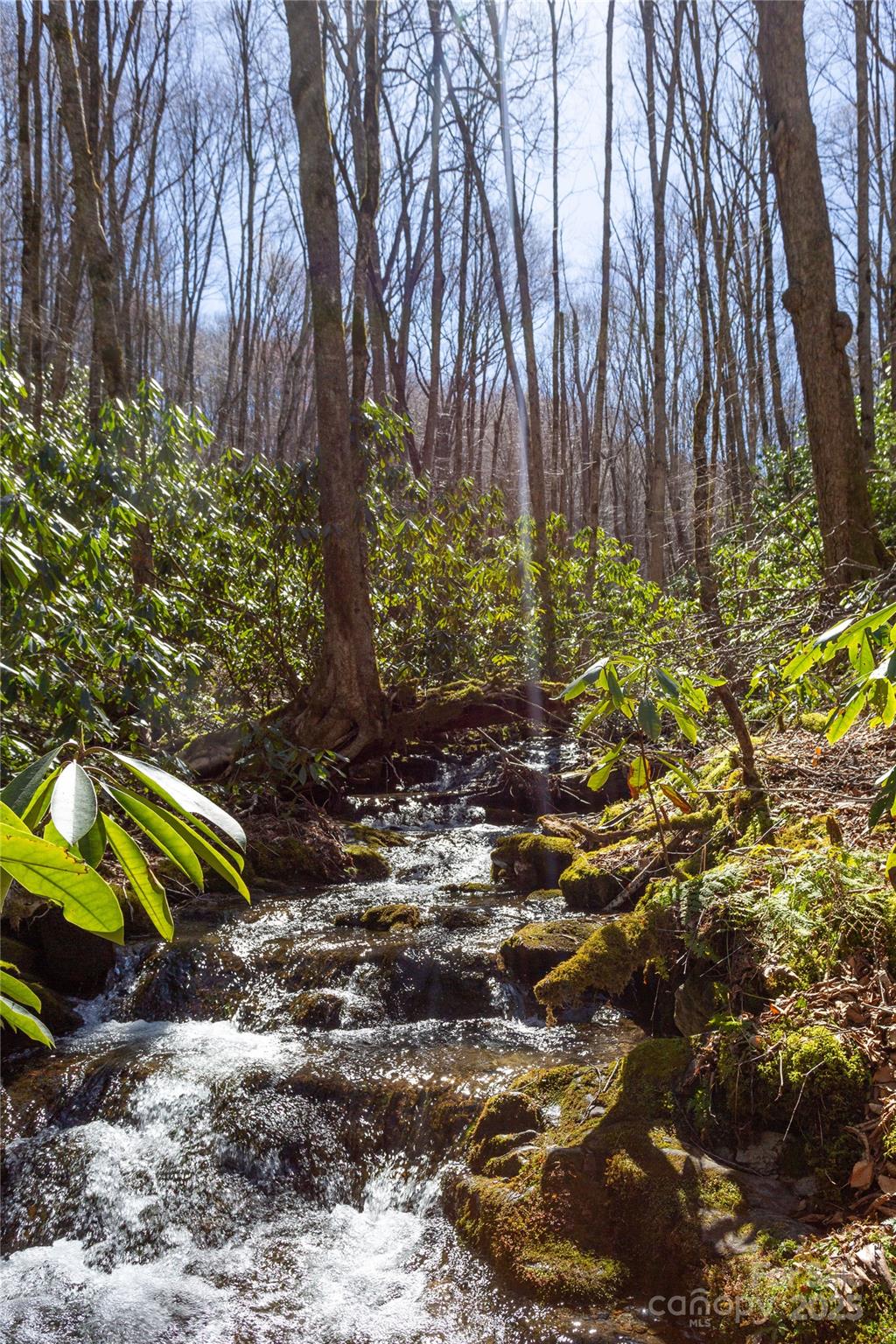 Lot 50 Bearwallow Ridge Trail, Unit 50 Maggie Valley, NC 28751 - Photo 4 of 39