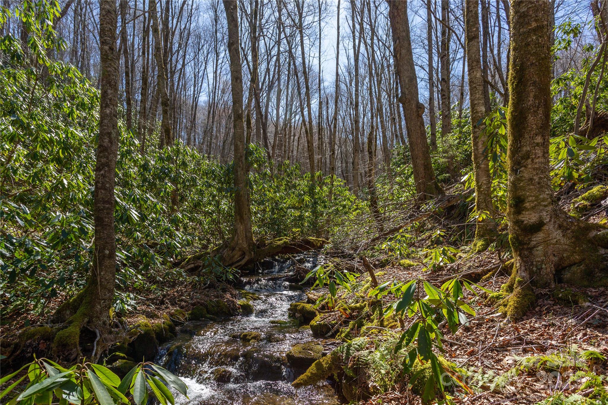 Lot 50 Bearwallow Ridge Trail, Unit 50 Maggie Valley, NC 28751 - Photo 6 of 39
