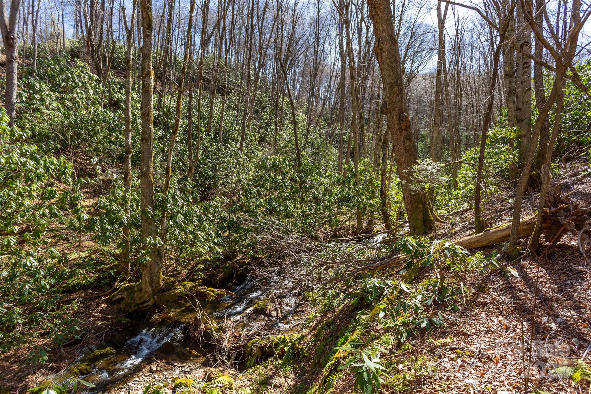 Lot 50 Bearwallow Ridge Trail, Unit 50 Maggie Valley, NC 28751 - Photo 7 of 39