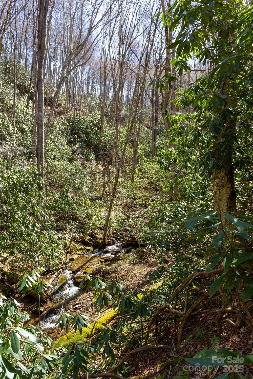 Lot 50 Bearwallow Ridge Trail, Unit 50 Maggie Valley, NC 28751 - Photo 8 of 39