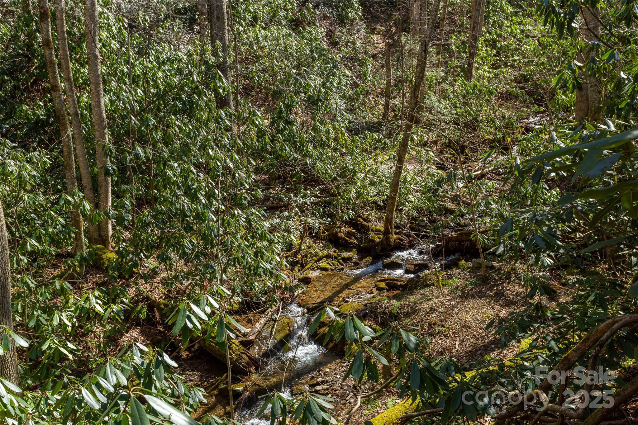 Lot 50 Bearwallow Ridge Trail, Unit 50 Maggie Valley, NC 28751 - Photo 9 of 39