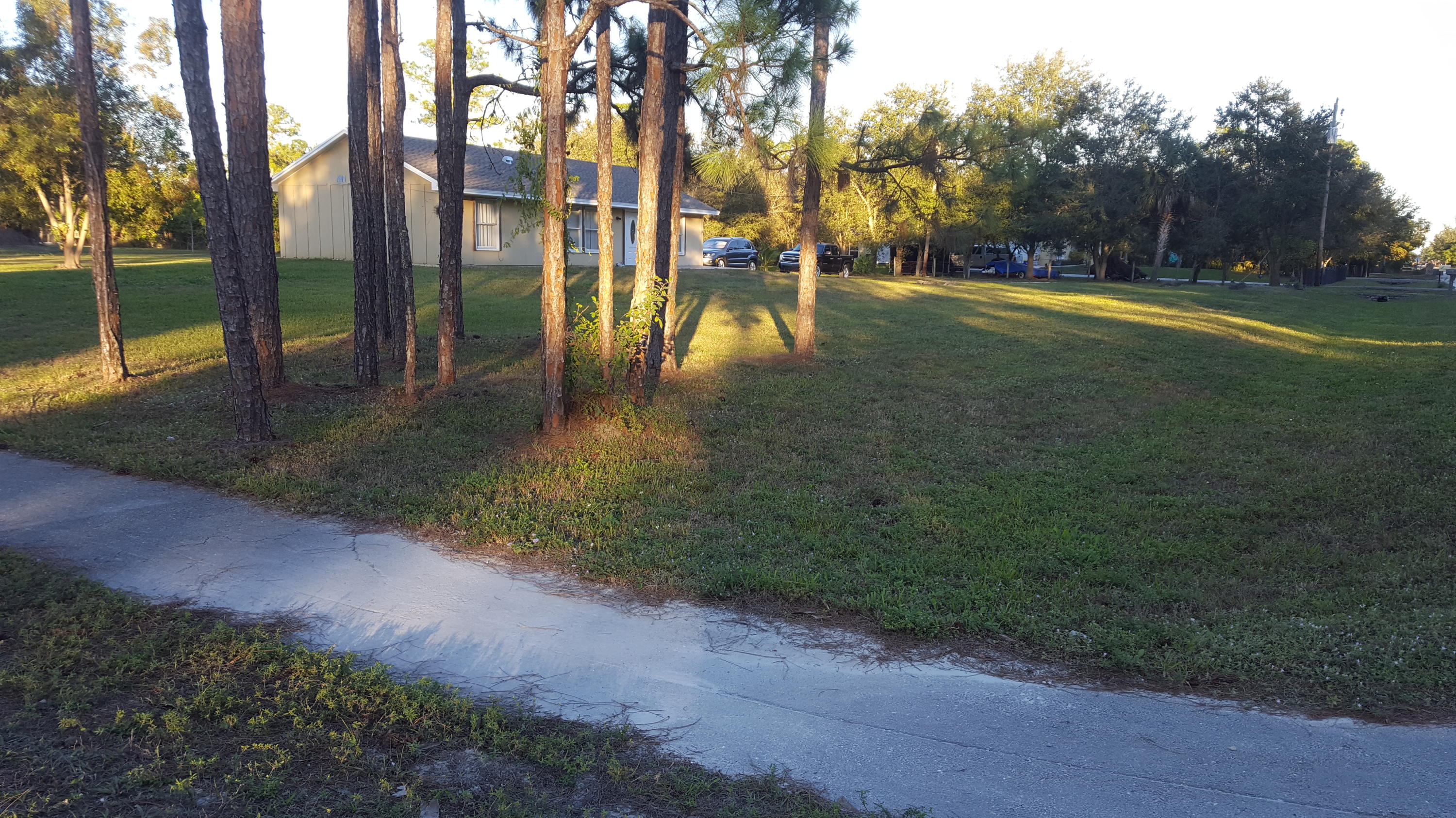 17999 41st Road North Loxahatchee, FL 33470 - Photo 2 of 19 a view of yard with tree