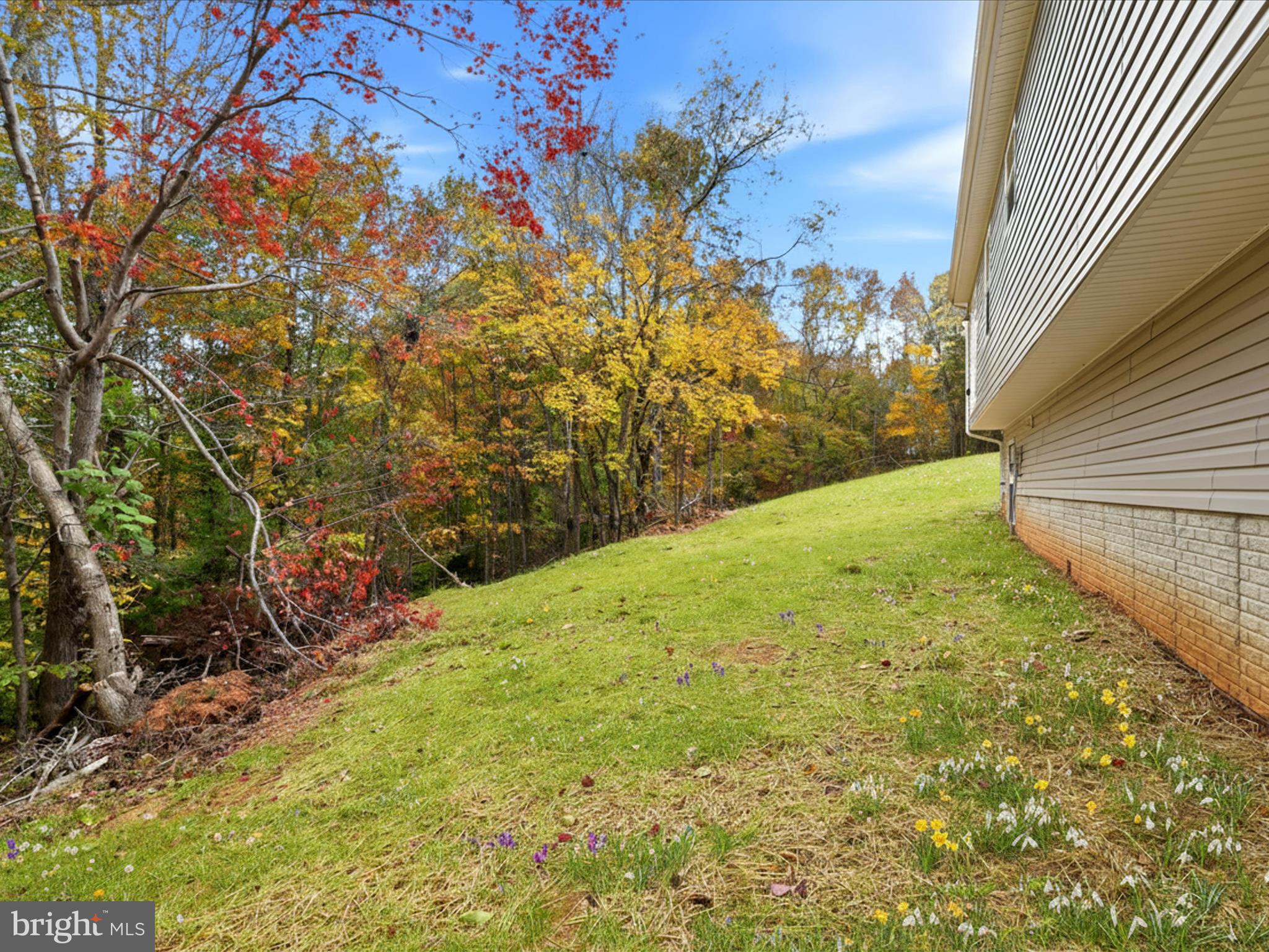 3281 Russel Run Road Locust Grove, VA 22508 - Photo 47 of 78 Gallery Image 47