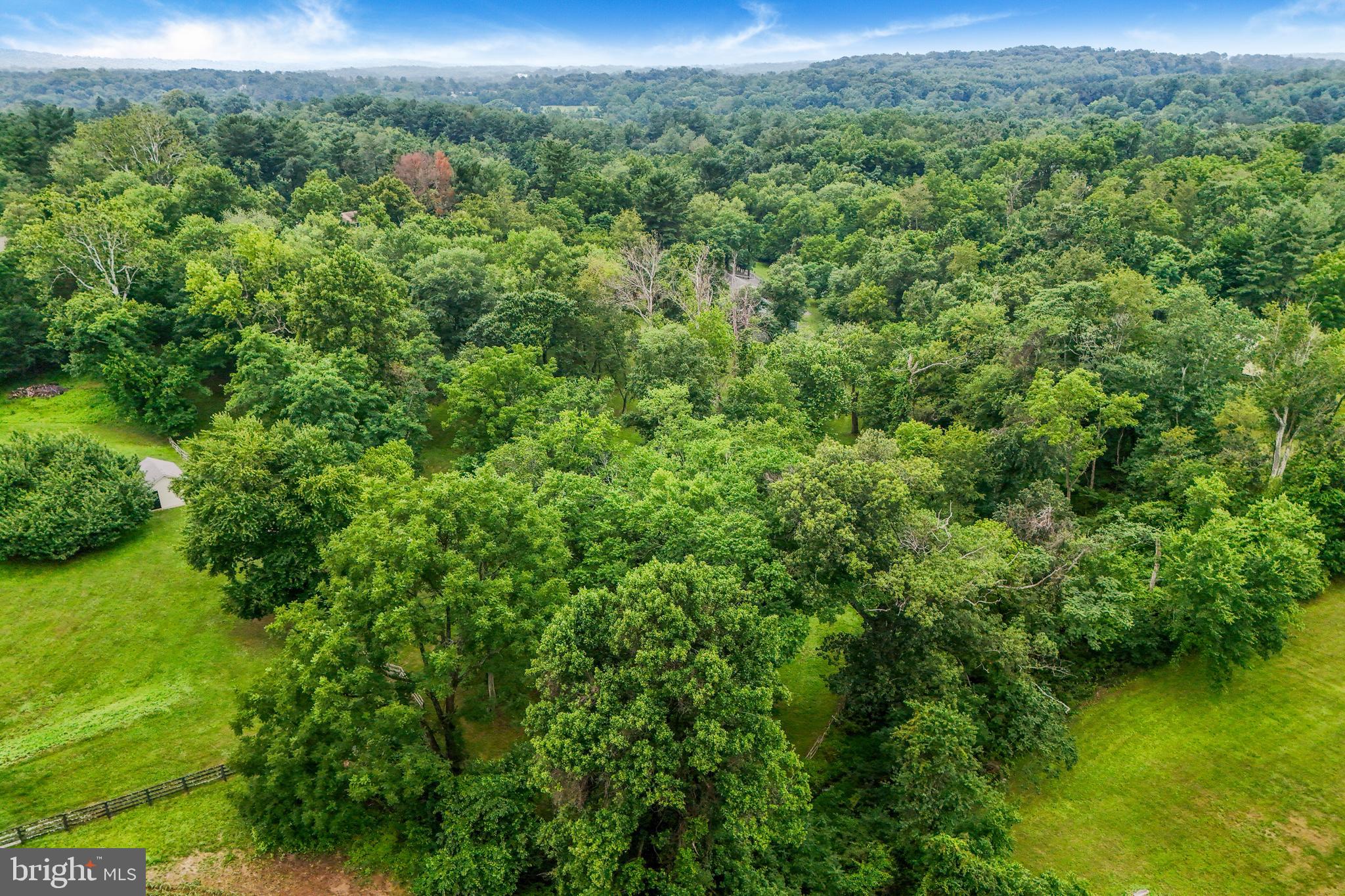 18189 Sands Road Purcellville, VA 20132 - Photo 139 of 145 4.6 scenic acres with mature trees.
