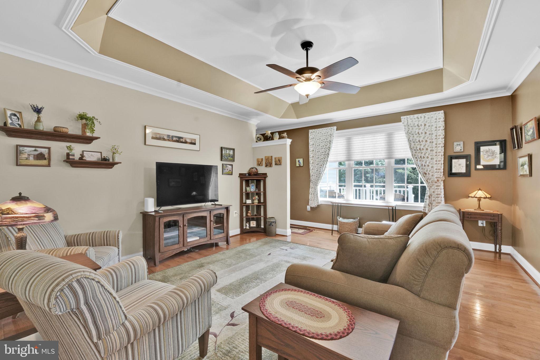 30 St Michaels Way Hanover, PA 17331 - Photo 15 of 35 Living room with tray ceiling
