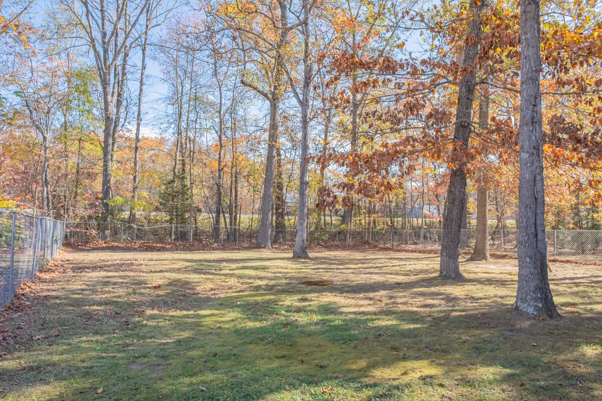 353 Oak Hollow Road Manchester, TN 37355 - Photo 3 of 32 a view of outdoor space with trees