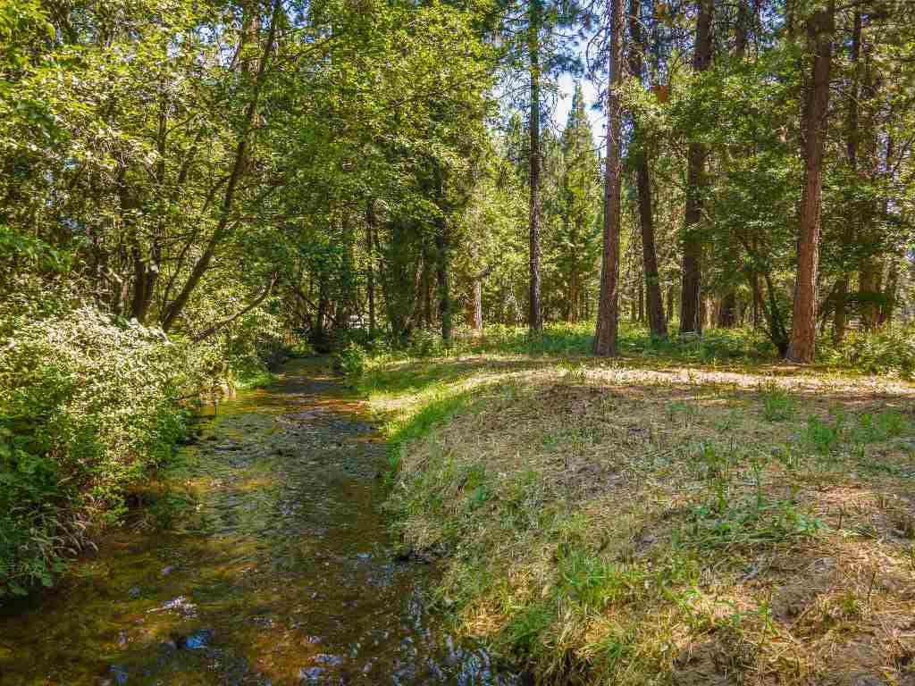 Lot B Red Cloud Ranch Road McCloud, CA 96057 - Photo 1 of 18 Gallery Image 1