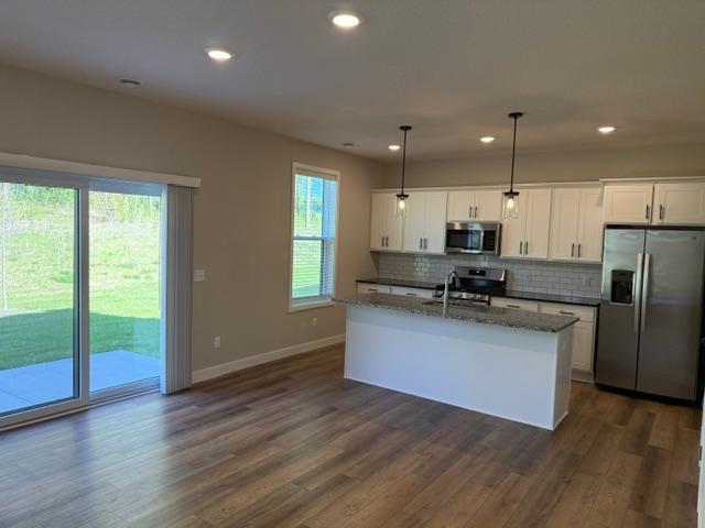 10554 Robinwood Road Chaska, MN 55318 - Photo 2 of 11