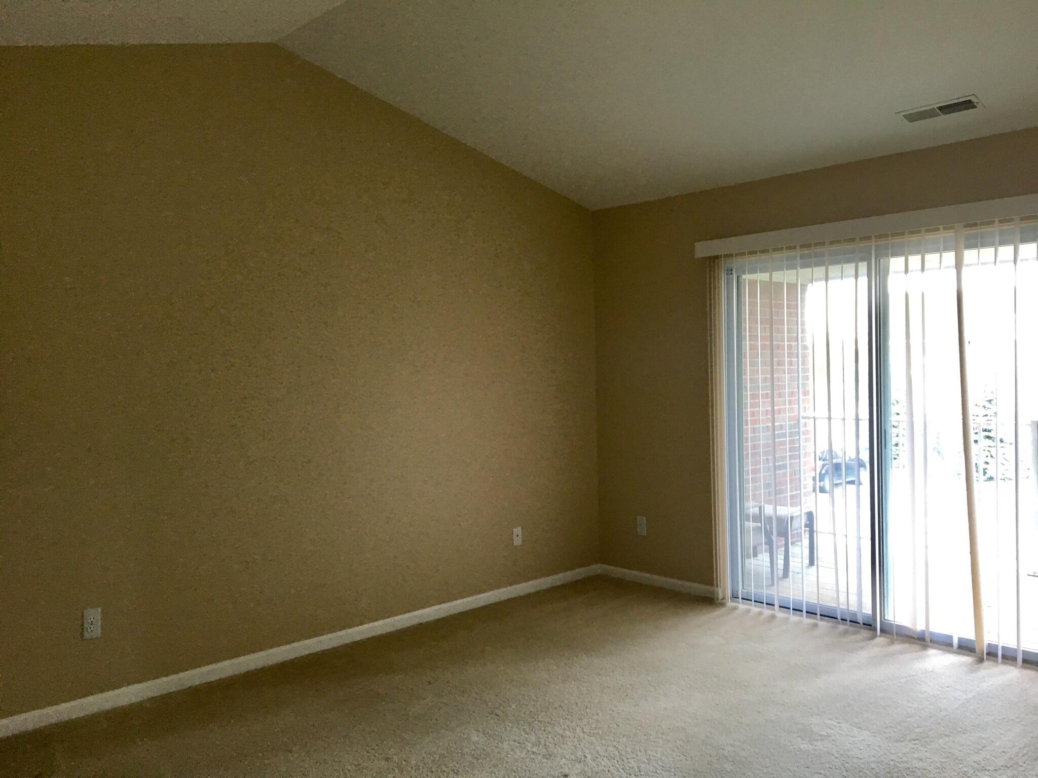 45673 Heather Ridge Drive Macomb, MI 48044 - Photo 14 of 27 FullSizeR_3