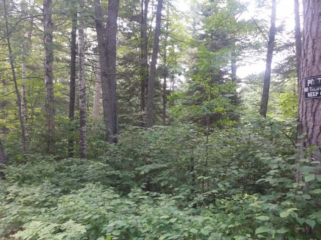 Nine 9 Mile Road Eagle River, WI 54521 - Photo 3 of 10 Gallery Image 3