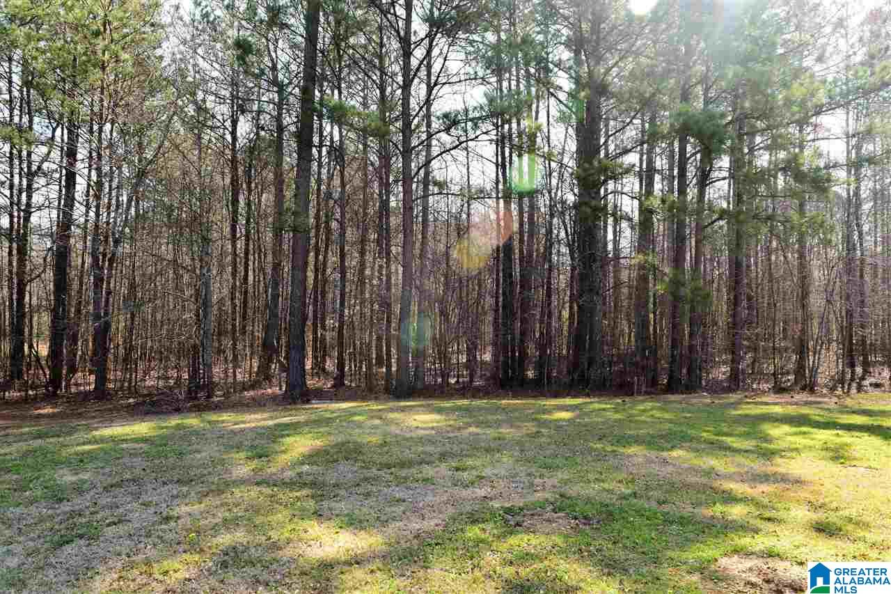 1220 Day Gap Road Cullman, AL 35057 - Photo 18 of 18