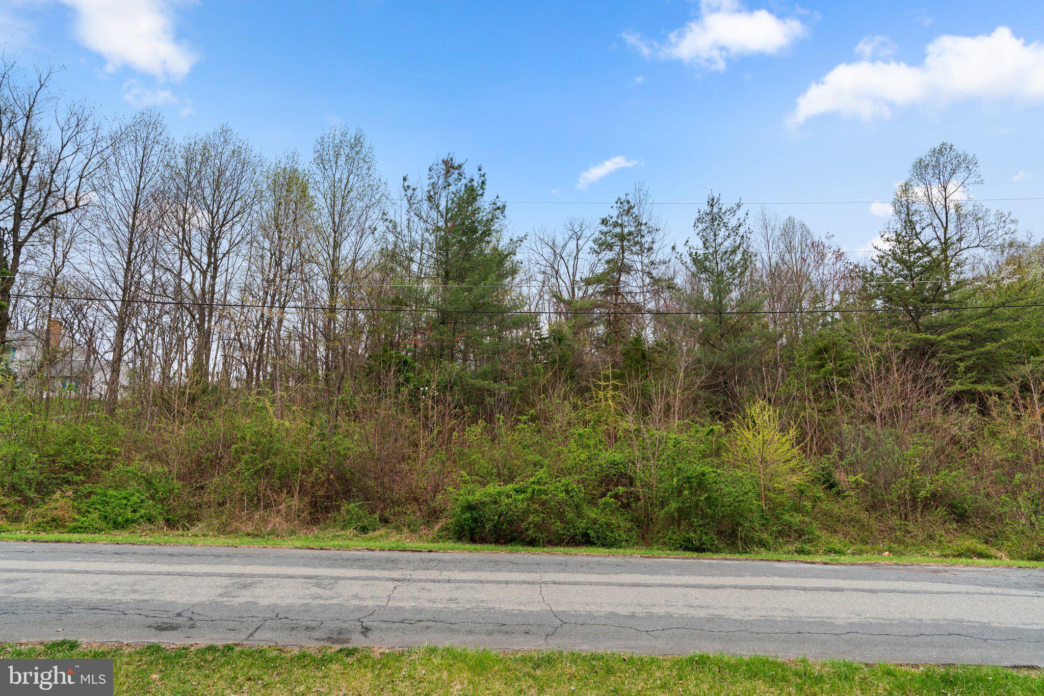 26132 Viewland Drive Damascus, MD 20872 - Photo 3 of 15 a view of a yard