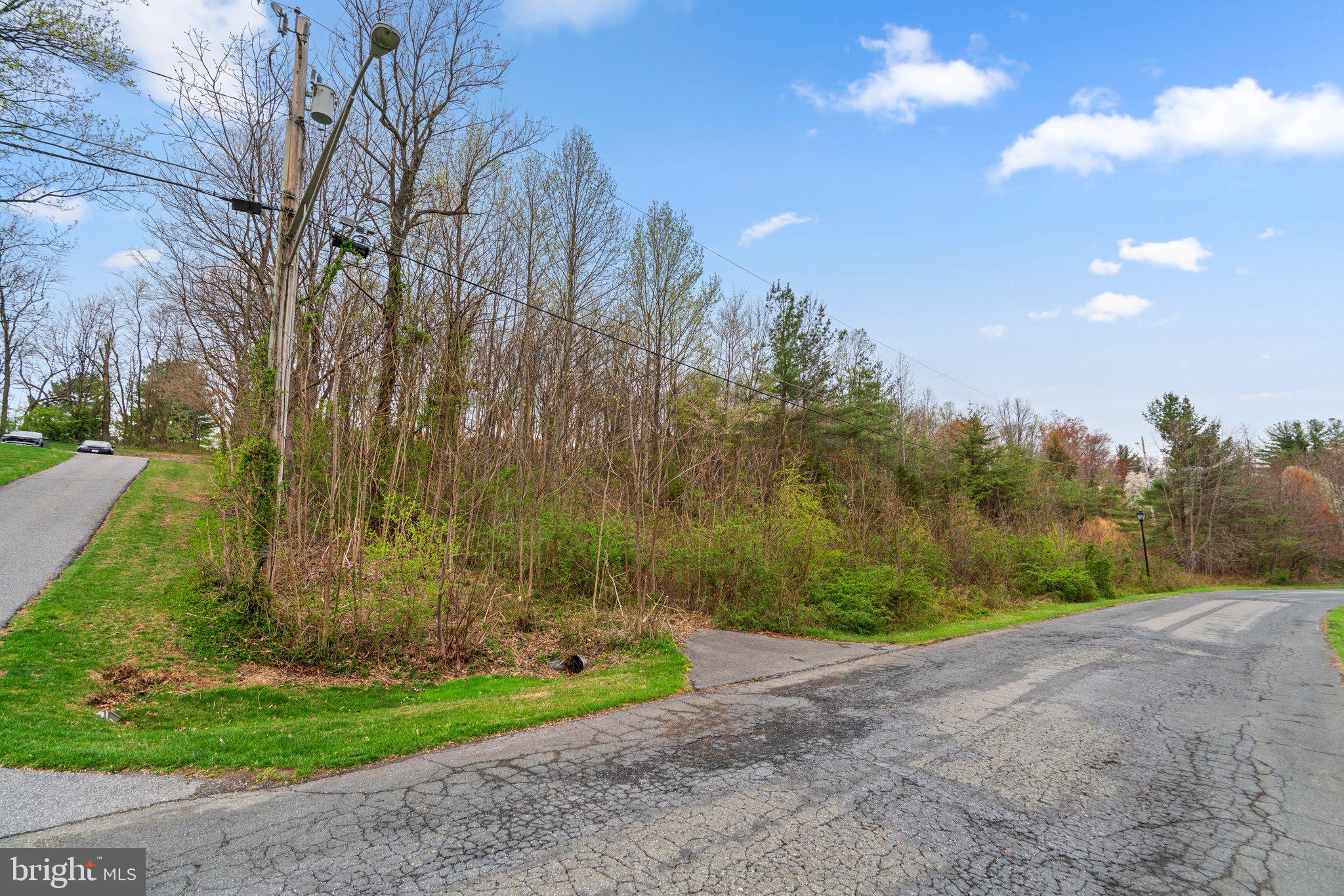 26132 Viewland Drive Damascus, MD 20872 - Photo 4 of 15 a view of a yard with iron fence