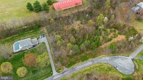 a view of a yard with plants