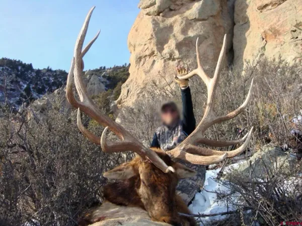 a backyard of a house with outdoor seating