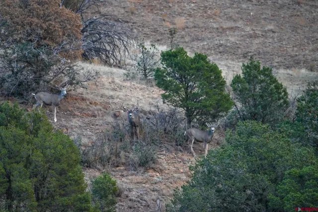 $27,000,000 | 0 Us 380, Carrizozo, NM 88301