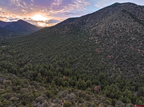 a view of a lake in middle of the forest