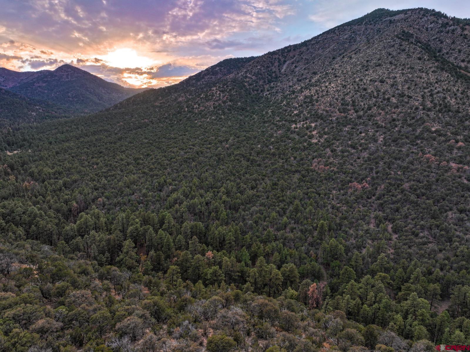 0 Us 380 Carrizozo, NM 88301 - Photo 14 of 34 a view of a dry yard with mountains in the background