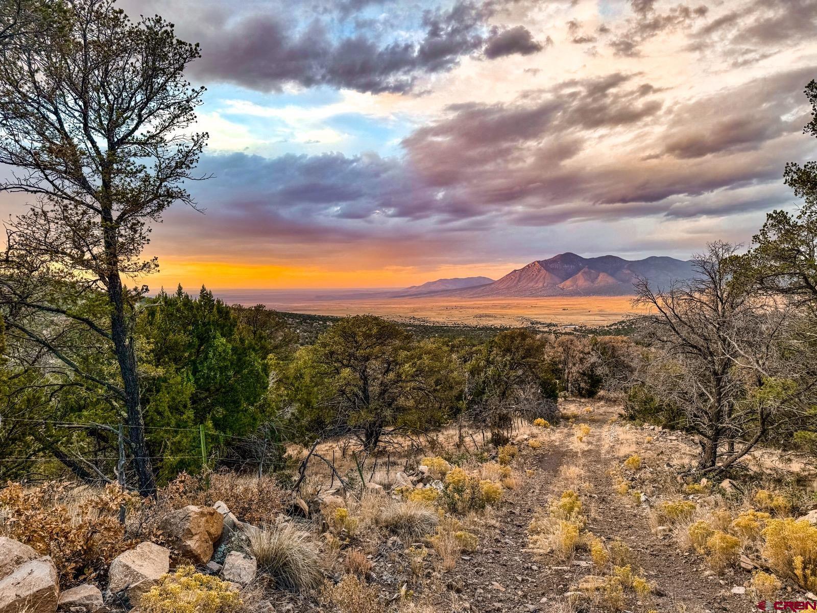 0 Us 380 Carrizozo, NM 88301 - Photo 17 of 34 a view of mountain view with lots of trees