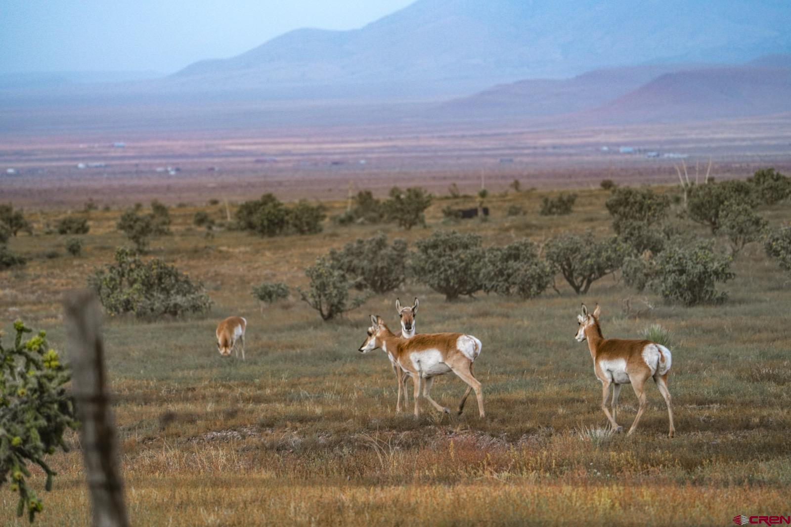 0 Us 380 Carrizozo, NM 88301 - Photo 20 of 34 a view of a lake with a mountain in the background