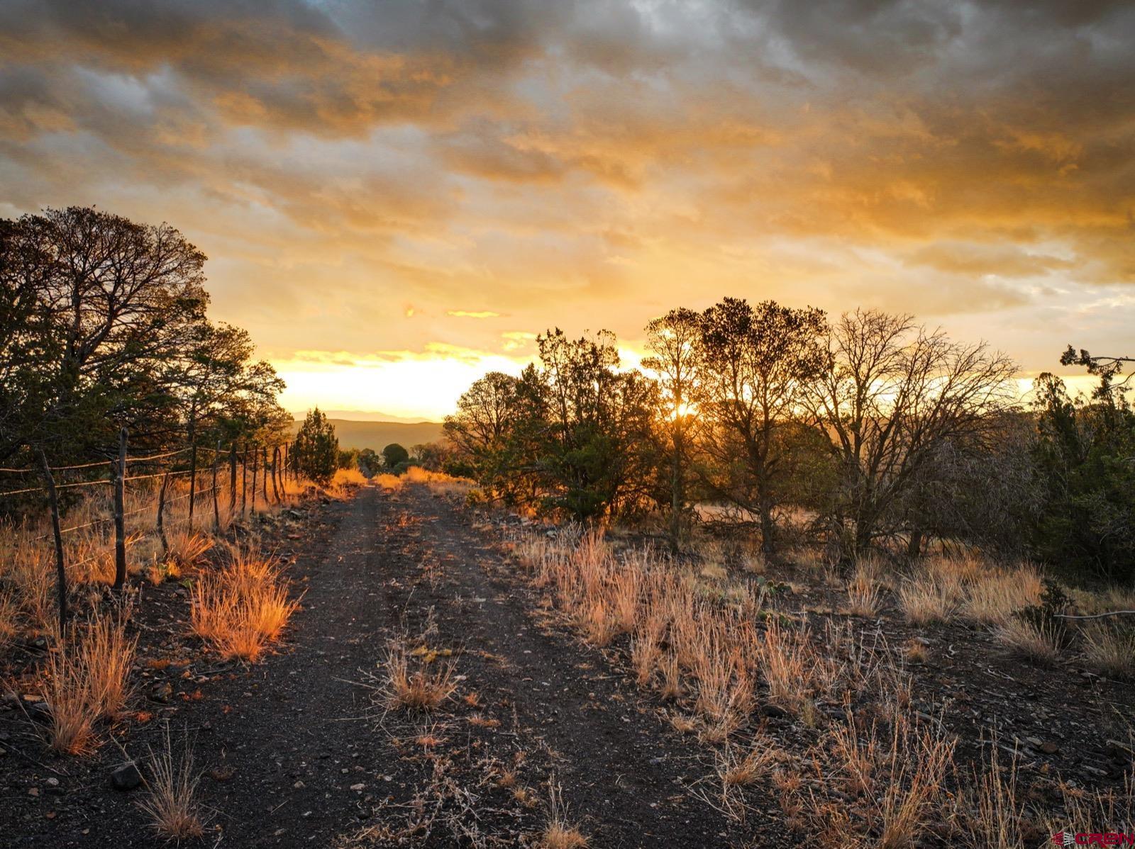 0 Us 380 Carrizozo, NM 88301 - Photo 2 of 34 a view of a yard with a tree