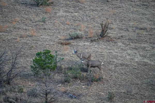 a view of city and mountain