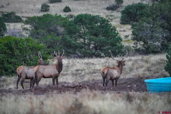 a view of city and mountain