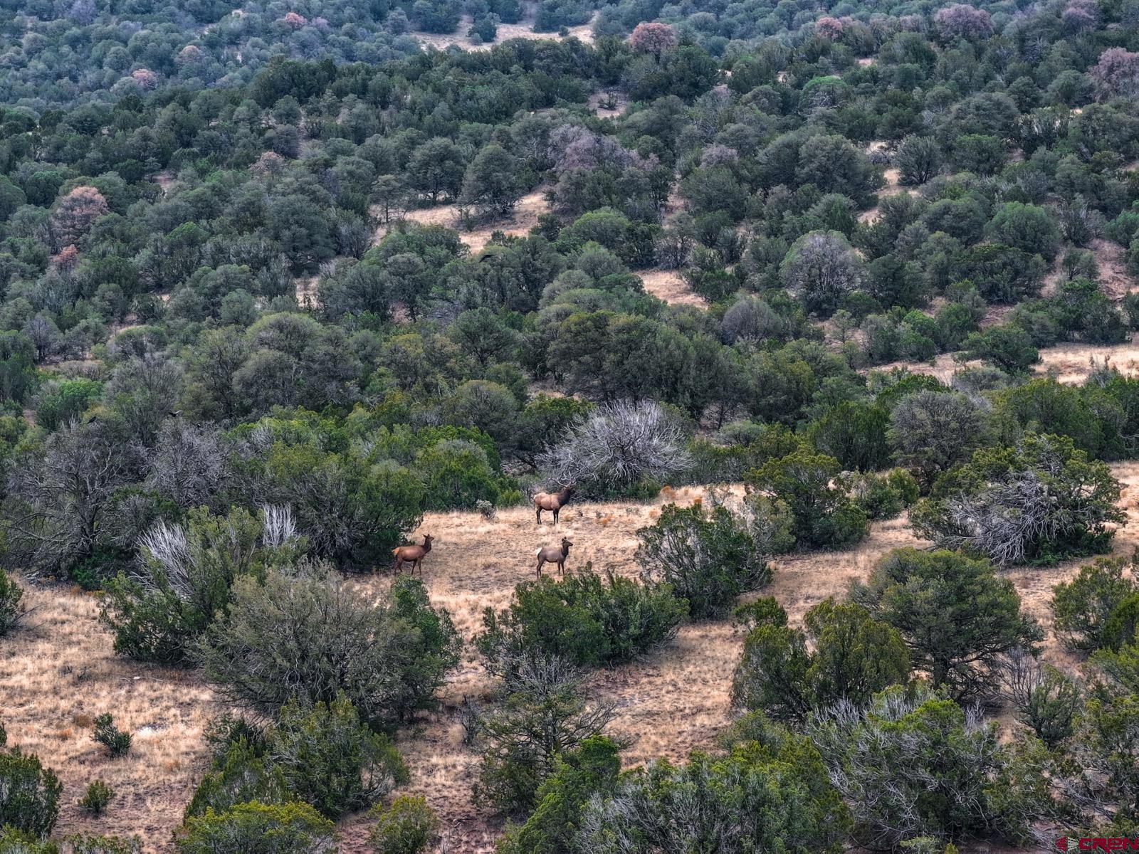 0 Us 380 Carrizozo, NM 88301 - Photo 7 of 34 an aerial view of house with yard and green space