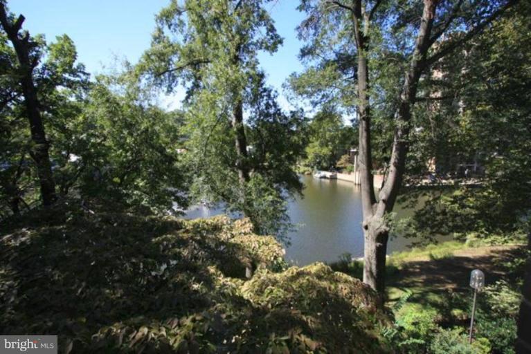 1698 Chimney House Road Reston, VA 20190 - Photo 16 of 25 View from Unit