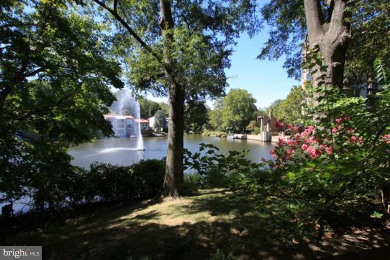 1698 Chimney House Road Reston, VA 20190 - Photo 24 of 25 Lake View
