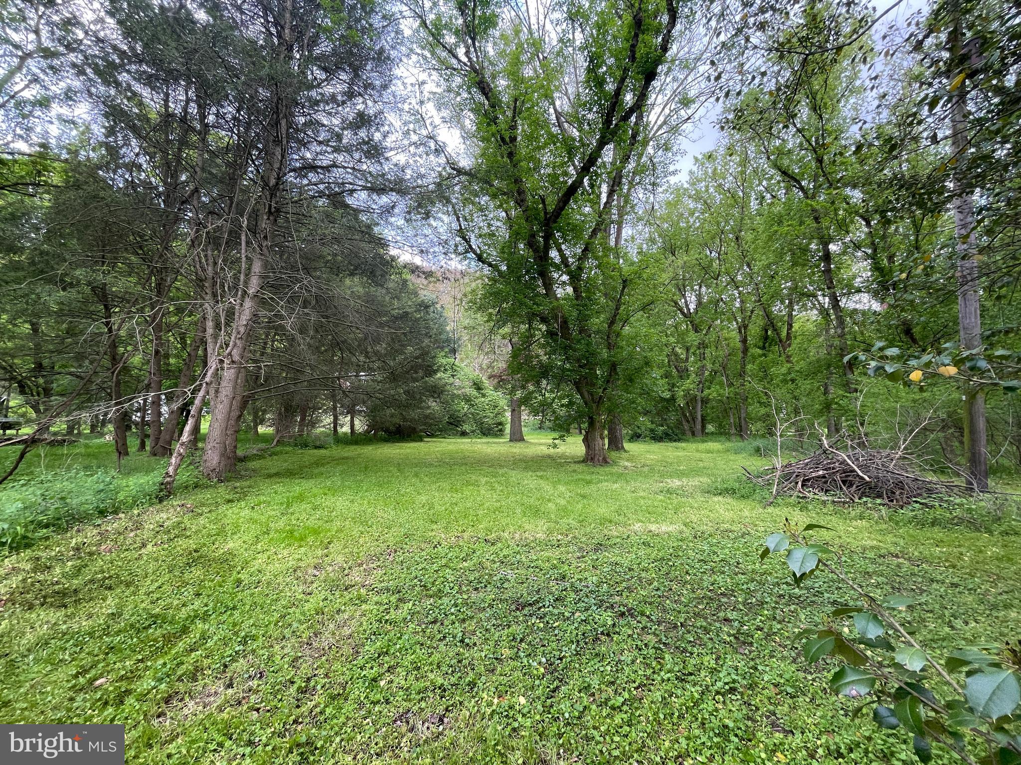0 River Road Pequea, PA 17565 - Photo 16 of 28 a view of a lush green space