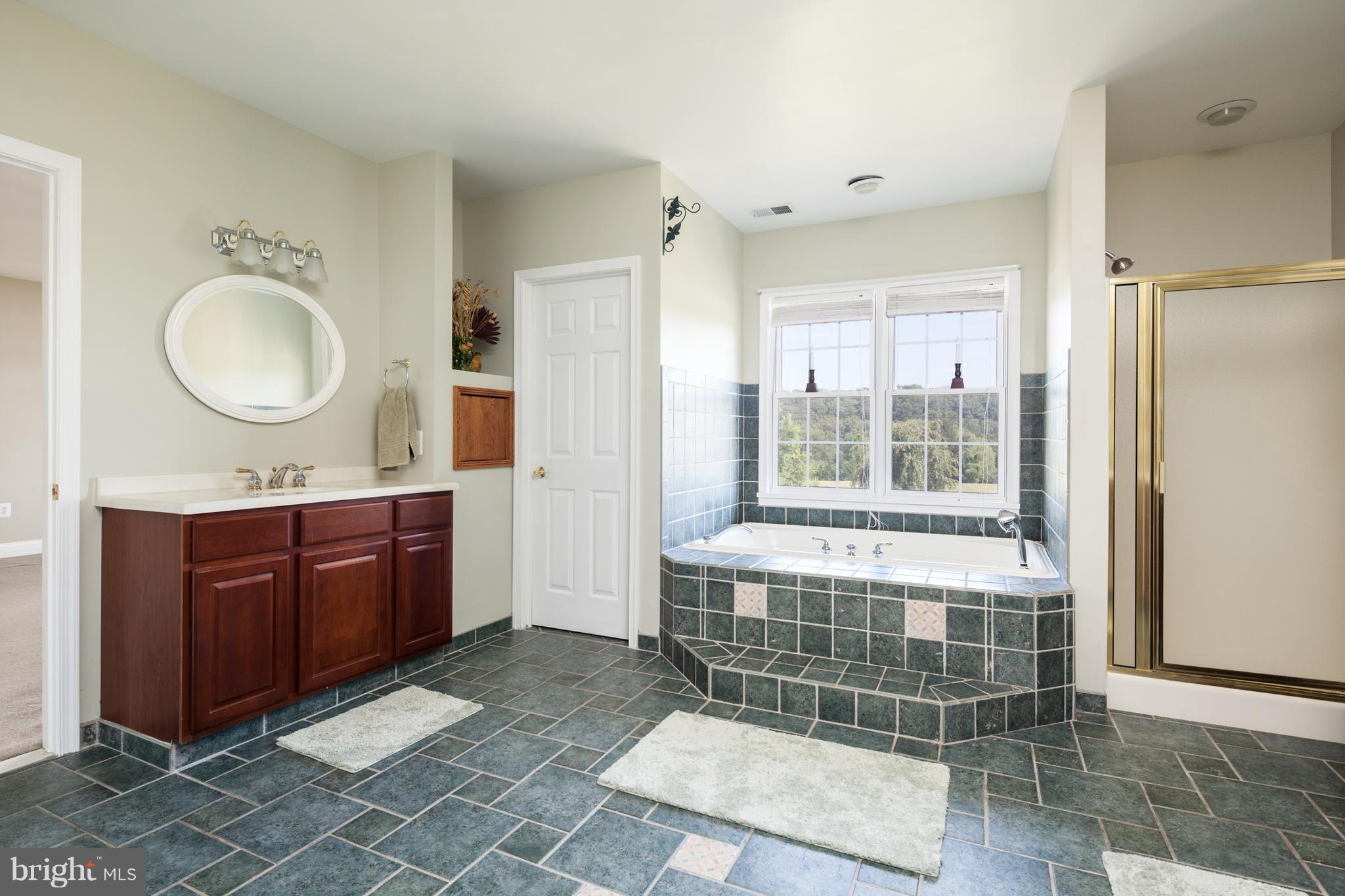 2516 Bailey Road Forest Hill, MD 21050 - Photo 22 of 43 Bath (Master)