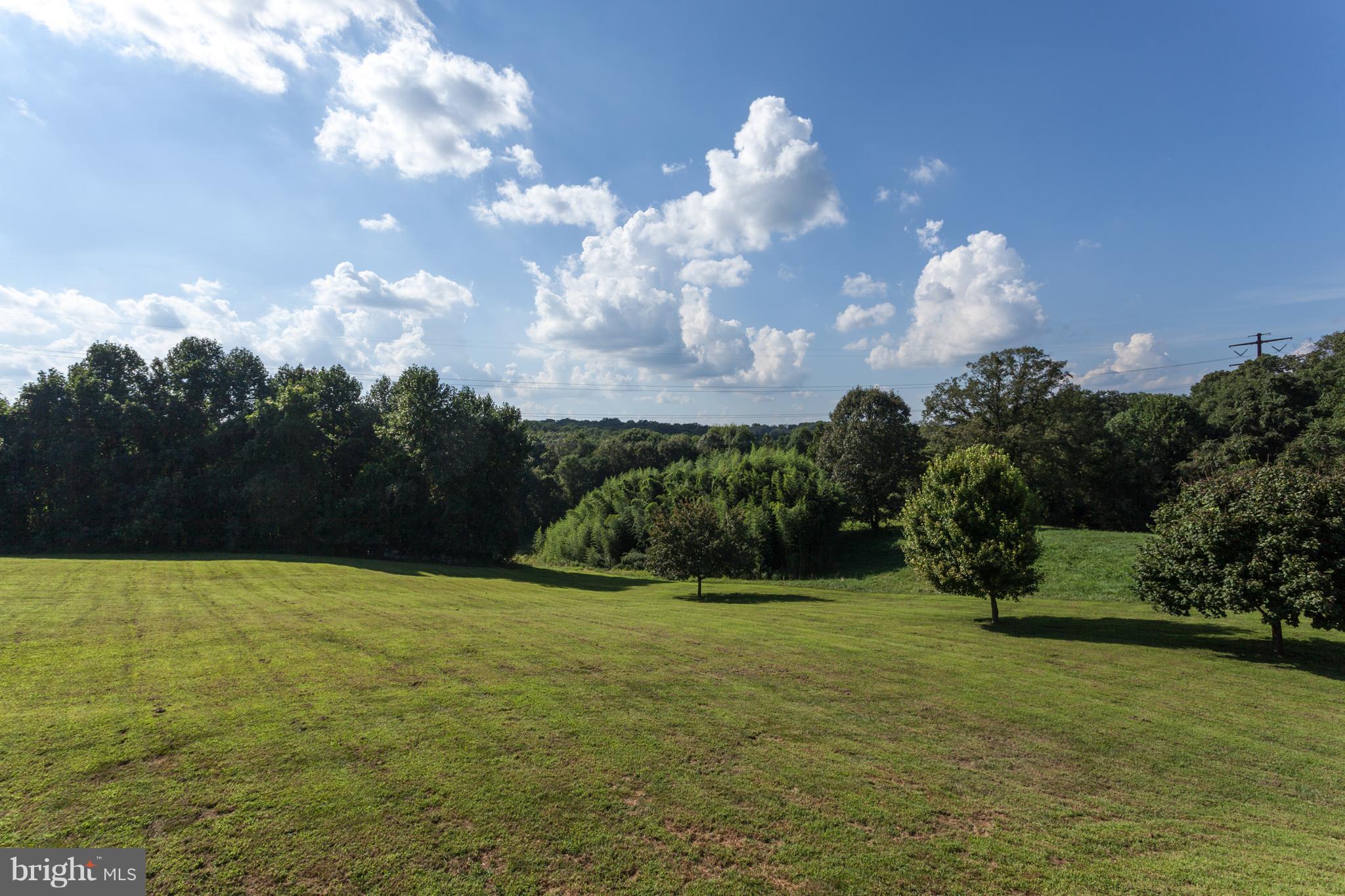 2516 Bailey Road Forest Hill, MD 21050 - Photo 42 of 43 Rear Yard