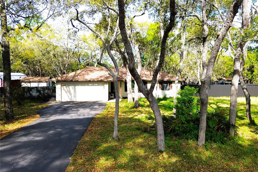 3201 Bartlett Street Spring Hill, FL 34606 - Photo 3 of 53