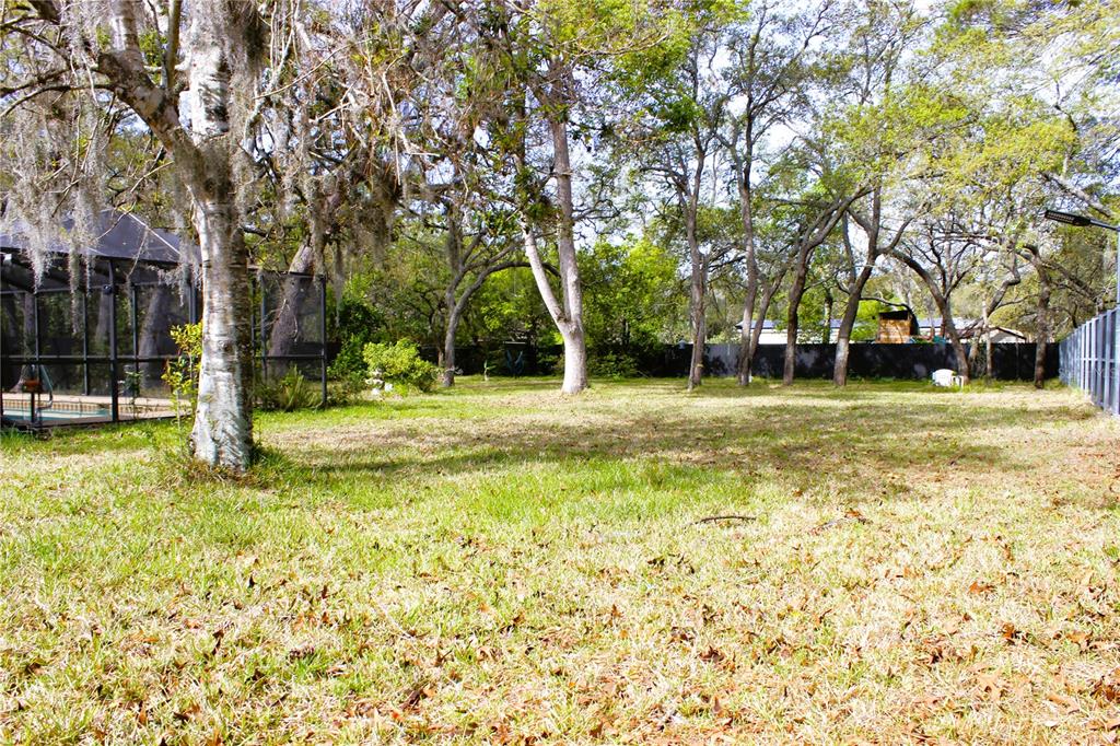 3201 Bartlett Street Spring Hill, FL 34606 - Photo 47 of 68