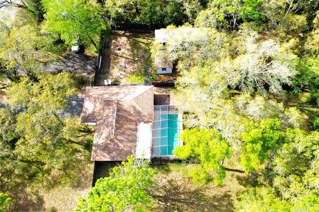 3201 Bartlett Street Spring Hill, FL 34606 - Photo 48 of 53