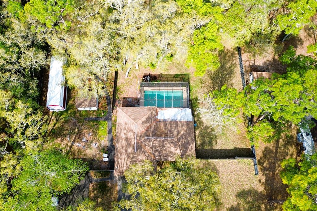 3201 Bartlett Street Spring Hill, FL 34606 - Photo 49 of 53